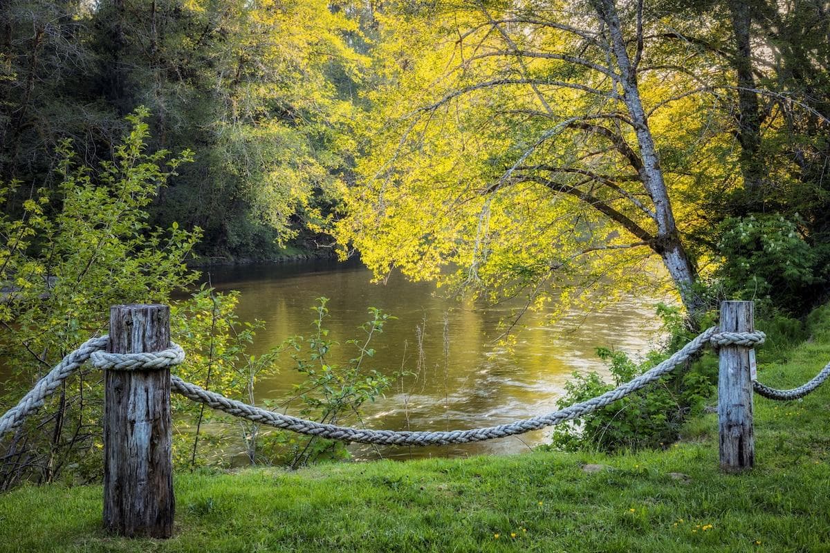 Step into the backyard for a breathtaking view of the Bogachiel River.  The deep water in this particular spot on the river is sought after for fisherman looking to catch fall coho salmon, winter steelhead, and summer steelhead.    